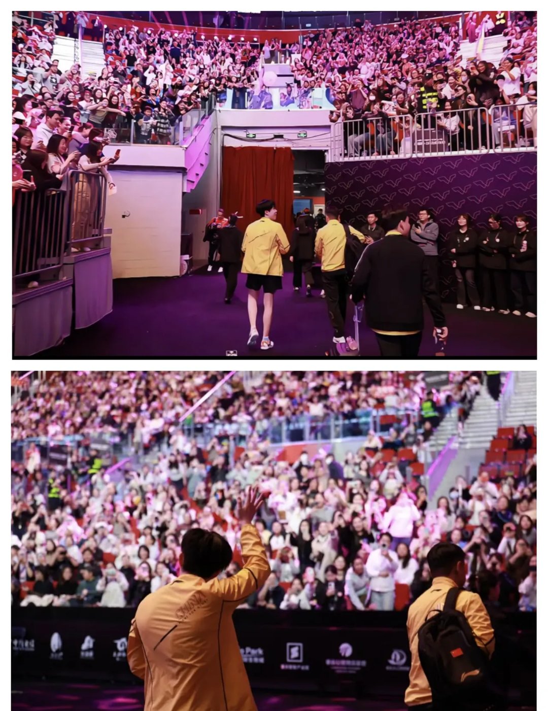 别具特色的比赛风格，球迷瞩目亮点频现